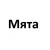 Мята 